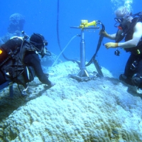 High temperature bleaching, not ocean acidification is most threatening shallow-water coral reefs